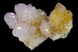 Cactus Quartz (Amethyst) Crystal Cluster - South Africa #137786-1